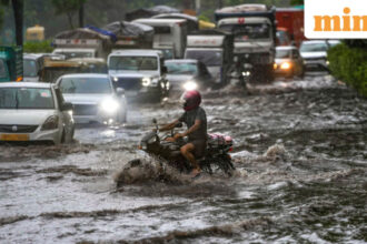Widespread rain likely across central, east, west India: IMD