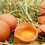 UK Salmonella outbreak appears to be easing