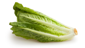 FDA quietly closes outbreak investigation naming romaine lettuce as cause