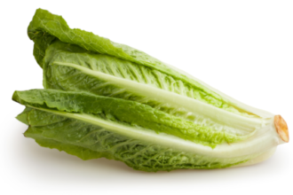 FDA quietly closes outbreak investigation naming romaine lettuce as cause