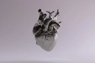 This FDA-Cleared AI Could Spot a Hidden Heart Attack Your Doctor Misses