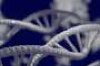 Genetic mapping reveals complex traits draw more heritability from intergenic DNA