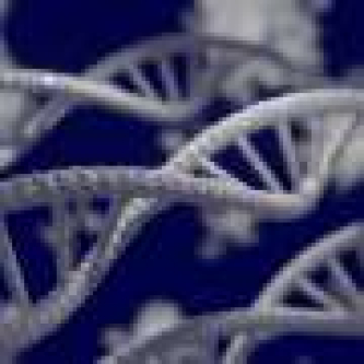 Genetic mapping reveals complex traits draw more heritability from intergenic DNA