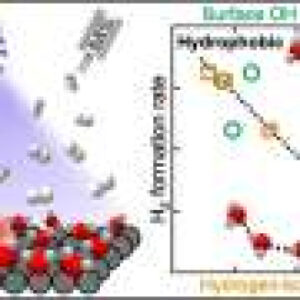 Bridging interfacial water structure and reactivity in photocatalytic hydrogen evolution at TiO₂ interfaces