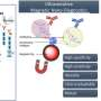 Magnetic nanoparticles detect amoxicillin allergy with 98% sensitivity in early tests