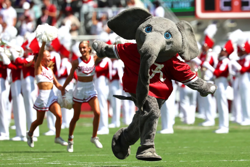 Which college produces the most NFL players? We examined all 32 teams