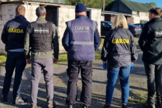 Belgium leads horse meat fraud investigation
