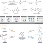 An engineered nanopore identifies saccharides, amino acids, peptides and ribonucleotides