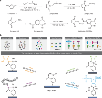 An engineered nanopore identifies saccharides, amino acids, peptides and ribonucleotides