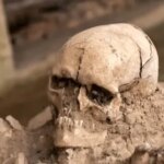 Descubren un cerebro de hace siglos: solo existen tres casos similares en todo el mundo