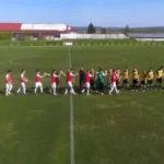 Лишиха Павликени от домакинство
