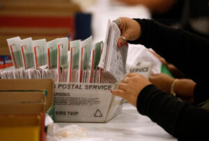 Mail-In Voting Survives