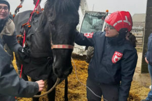 Maltraitance animale : “On est de plus en plus sollicité pour venir en aide aux refuges et aux unités de bien-être animal”
