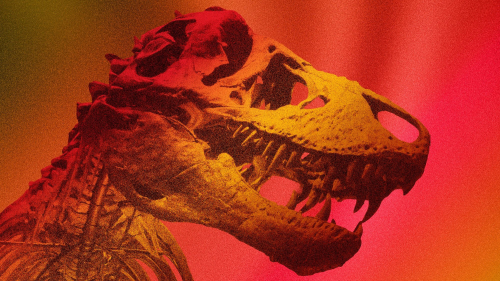 Tyrannosaurus rex was warm-blooded, new study confirms
