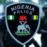 Nigeria repatriates Chinese fugitive arrested in Ogun over ¥15.7 million rosewood smuggling