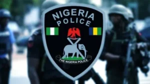 Nigeria repatriates Chinese fugitive arrested in Ogun over ¥15.7 million rosewood smuggling