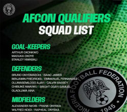 Chelle Names Separate Squads For Super Eagles’ AFCON Qualifiers, Russia Friendly