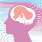 There’s a Neurological Basis for “Pregnancy Brain”