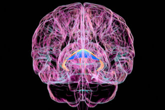 Brain Disorder Due to Vitamin Deficiency Often Goes Unrecognized
