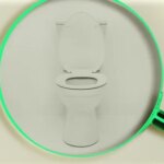 New Study: The Secret to Slower Brain Aging Might Be in Your Poop 