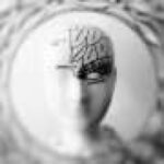 Human brain is two separate organs, research finds