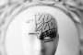 Human brain is two separate organs, research finds