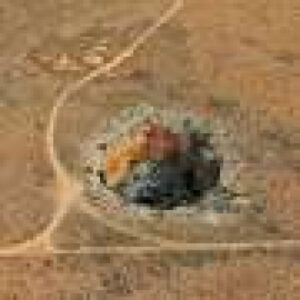 Australia’s vast Nullarbor Plain hides deep caves that can teach us about alien worlds