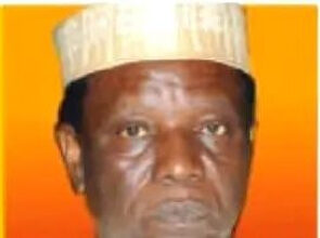 ELECTIONS: Nigeria is still pursuing shadows, by Tonnie Iredia