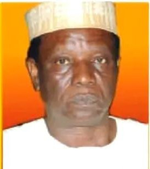 ELECTIONS: Nigeria is still pursuing shadows, by Tonnie Iredia