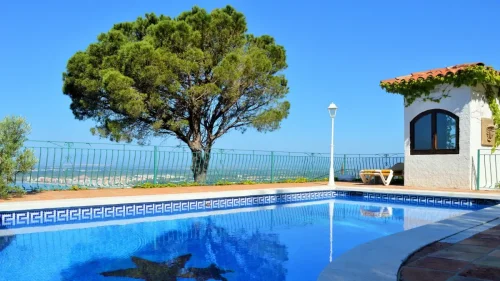 “Jamás plantes pinos cerca de una piscina, sus raíces son súper agresivas y pueden romper las tuberías”