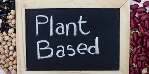 Finland assesses safety of plant-based dairy products
