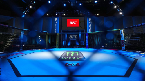 UFC fighter details the unseen trauma of a losing streak