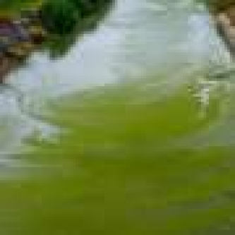 Iron complex breaks down stubborn pollutant using light-powered reaction