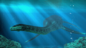 Plesiosaurs vomited indigestible pellets like owls