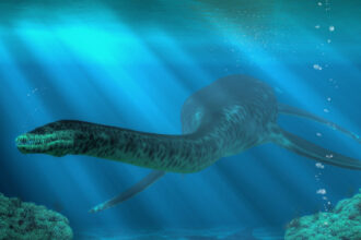 Plesiosaurs vomited indigestible pellets like owls