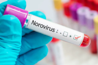 Source of Belgian norovirus outbreak remains unknown