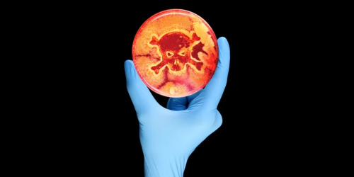 FSS gives update on efforts to reduce foodborne illness