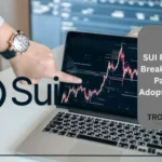 SUI Price Eyes Breakout as Sui Payment Adoption Grows