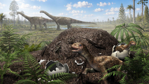 Titanosaurs Nested Far South of Equator, Fossil Eggshells Reveal