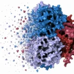 Scientists thought they knew how this 70-year-old leukemia drug worked