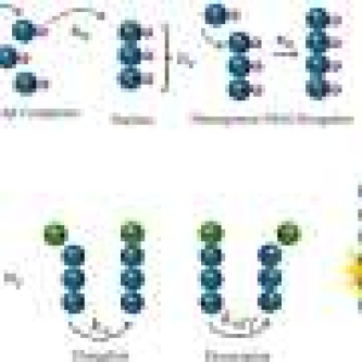 Solving Alzheimer’s with math? Researcher explores the possibilities