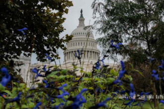 A Republican midterm defeat will not be an earthquake