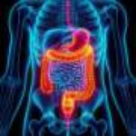 Focusing on the ‘obesity paradox’ to improve cancer treatment success