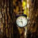Brain signals thought to predict events may instead track time