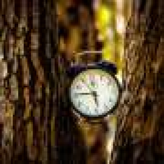 Brain signals thought to predict events may instead track time