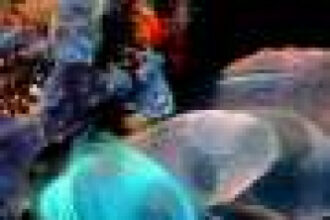 How sea squirts perceive underwater noise
