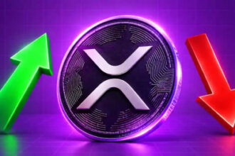 NewGenIvf Sold Entire XRP Holdings Before Year-End, SEC Filing Shows