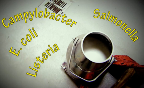 Pediatricians’ research shows dangers of raw milk