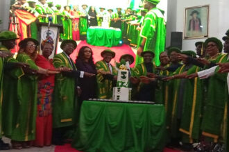 Nnaji advocates increased funding for education